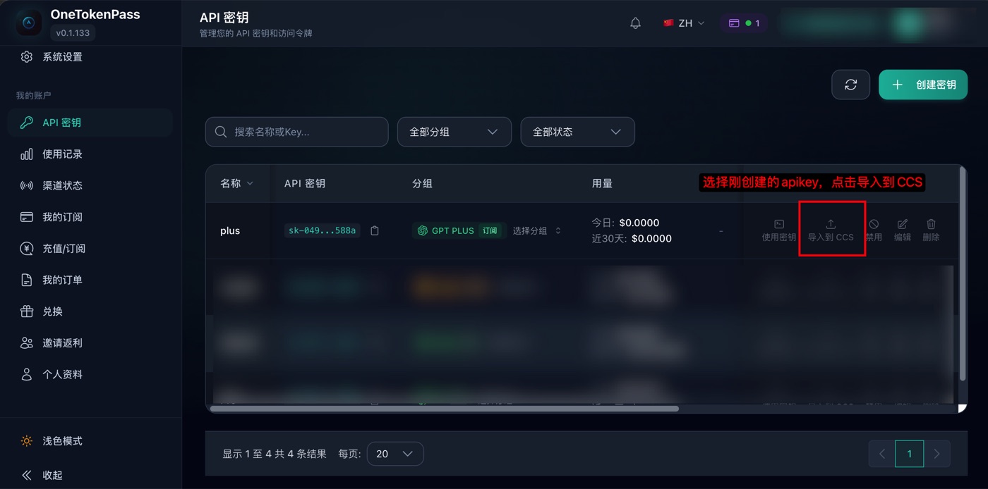 导入 API Key 到 CC Switch 的页面截图